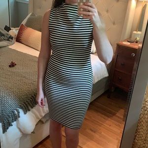 Fitted Striped Dress